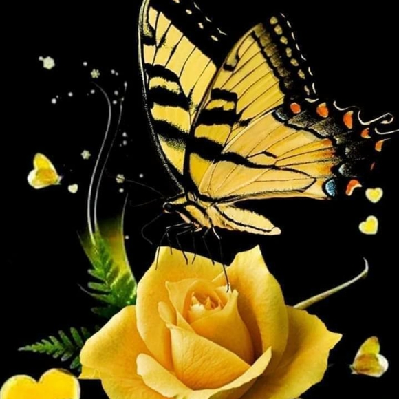 Meet your Posher, Cindy - Picture 2 of 2